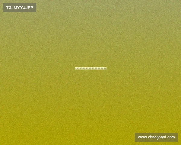 小加里在猛龙队的角色演变：从新秀到关键球员